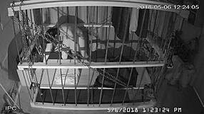 The cagecam offers a non-edited, downloaded feed directly from the cage for viewing