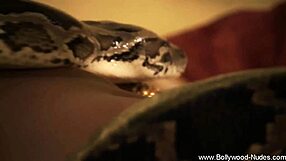 The seductive Indian MILF dances and undresses to seduce the man.