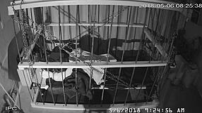 The cagecam offers a non-edited, downloaded feed directly from the cage for viewing