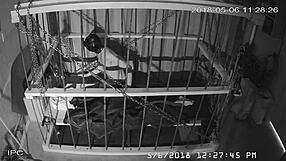 The cagecam offers a non-edited, downloaded feed directly from the cage for viewing