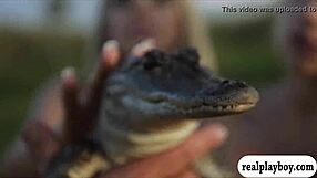 Lovely Badass Babes Visit Cranky Crocs In Bikinis Outdoors