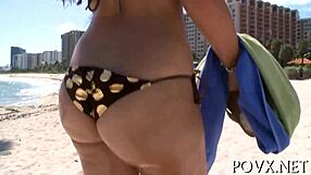 Sexy Nikki Stone suger pik hårdt!