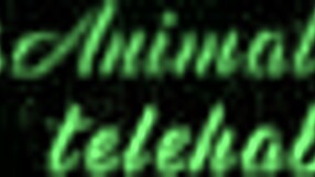 terrible momo says, 'pick a guy, even if he cries, fuck him'