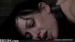 the slutty couple engages in naughty caning and blowjob bondage