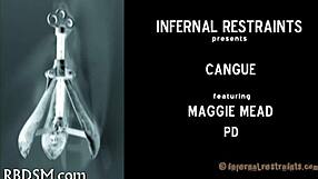 coarse wild toy fucking