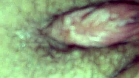 Lovie takes the challenge in the ring.