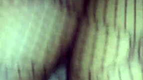 Lovie takes the challenge in the ring.