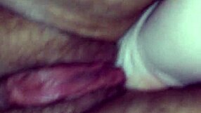 Lovie takes the challenge in the ring.