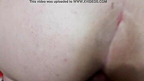 amateur couple's pov anal fuck