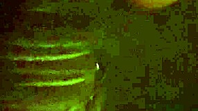 Doggystyle Wife Bent Over For Intense Fucking