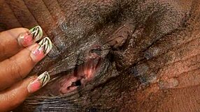 Black Ebony Hd Close Up Hairy Pussy