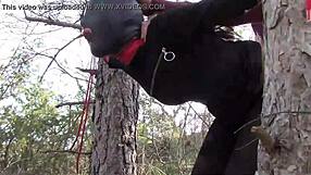 Tied up outdoor rough fuck