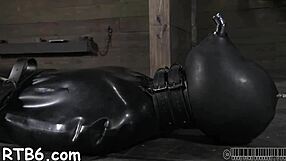 Hotty Receives Neck Collar And Legs Widen