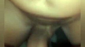 Fat Beaver Ass Licking Deepthroat And Anal With Buttplug