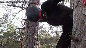 Tied up outdoor rough fuck