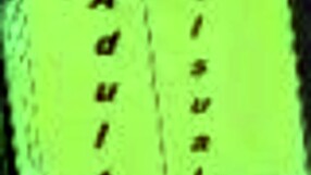 What secrets hide in harem hotel 257?