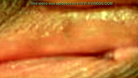 Black Ebony Hd Close Up Hairy Pussy