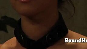 Disappeared on Arrival New Slave Welcoming Starts with Whipping