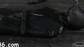 Hotty Receives Neck Collar And Legs Widen