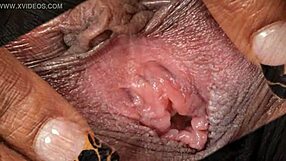 Black Ebony Hd Close Up Hairy Pussy