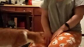 Feel the passion in this sexy homemade compilation