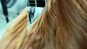 Spanish immigrant arrived in the United States and now sucks cocks for money