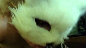 Oh man, i had quick closet sex with that fat girl, doggystyle and all, cum in mouth too!