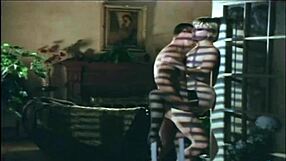 i'm watching this kim yates compilation with her small tits and riding scenes, but it's so softcore