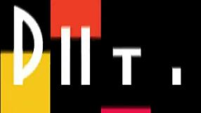 perfect pawg in roller skates gets blowjob and assfucked doggystyle by big cock