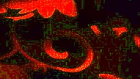 trip leads to unexpected encounter