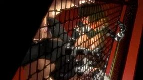 Curvy Anime Cow Girl Pounded Hard Against Cage In Bareback Hentai