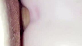 Aussie Pussy Fuck With Big Cock