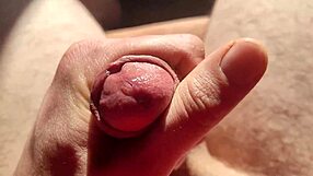 close up of edging from flaccid, playing with precum in natural light