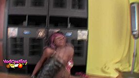 roxy star performs exotic dance and strip