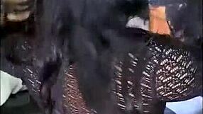 hermosa estudiante tiktoker begs me to fuck her hard