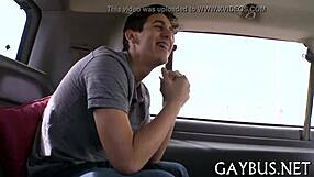 Oh Wow! Intense Homosexual Bear Sex Action Unfolds Here!