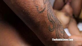 Does Amari Gold Love Anal Stretching With Jay Bangher?