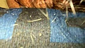 hermosa latina girl in amateur scene