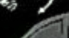 Mix of Animated Porn Videos Nine Featuring Furry and Hentai