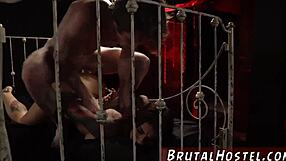 Rough Girl Bareback Excites Young Tourists Felicity Feline And!