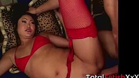 Lucy Lee Takes Anal Gaping