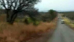 shy african girl joins wild jeep safari adventure