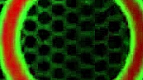 horny nympho carmen valentina foot fucks her pussy on cam