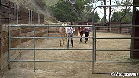 are busty lesbians missy martinez and lylith lavey licking juicy pinks?