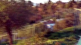 Free teen movies for viewing