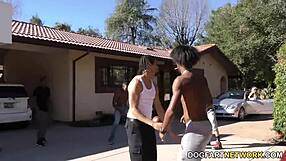 Nina Elle gets gangbanged by black guys in blowbang bukkake