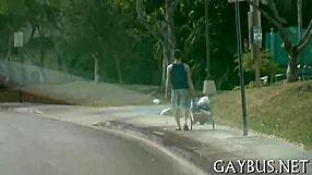 fellows having homosexual sex