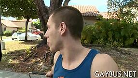 fellows having homosexual sex