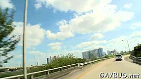 Detailed gay bear porn movie scenes.