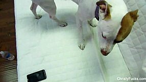 Christy Mack Gets Fucked And Facialed By Nick Manning